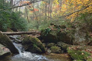 IMG_0089GreenHoleGooseCreek980